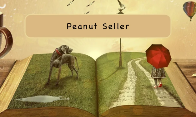 Short Story Peanut Seller